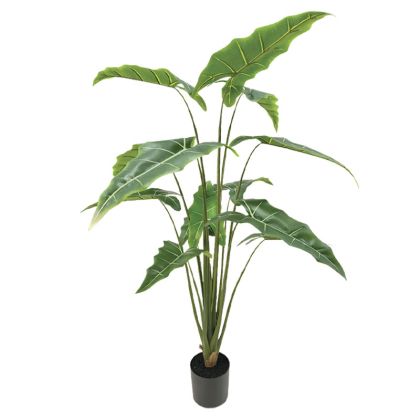 Artificial Alocasia Tree Real Touch in a plastic pot green - H180CM 2/BOX