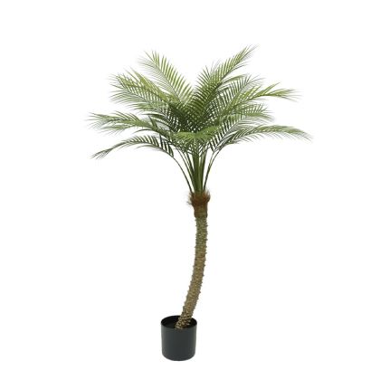 Artificial Palm Tree Real Touch in Pot - 155CM 4/BOX