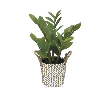Artificial plant Real Touch in green straw pot - Φ25X45CM 6/BOX