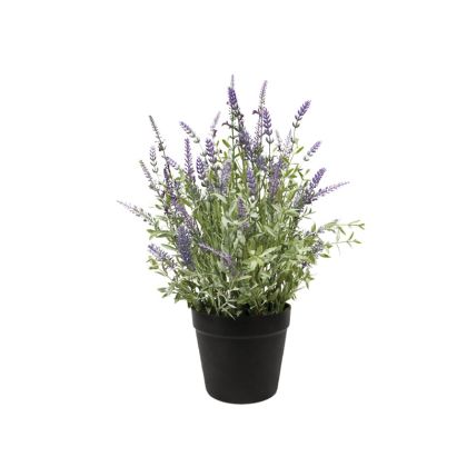Lavender in plastic pot - Φ30X48CM 12/BOX