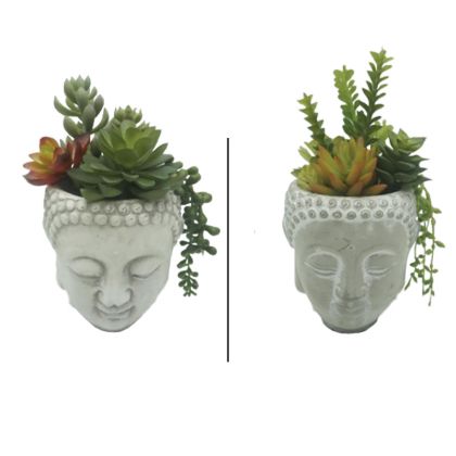 Succulents in a gray clay Buddha pot - 2 assorted designs - Φ12X20CM 4/24BOXES