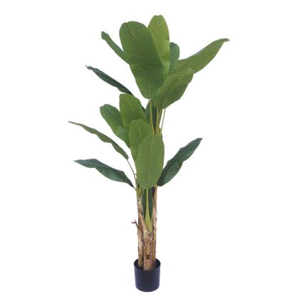 Triple banana tree Real Touch in a pot - H190CM 2/BOX