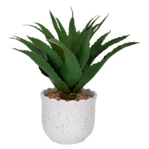 ALOE IN CERAMIC POT 28X22 12X10 CM
