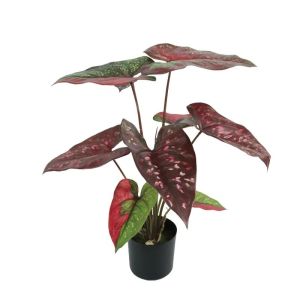 Alocasia tree green/crisp/red real touch in pot - h58 cm 6/kib