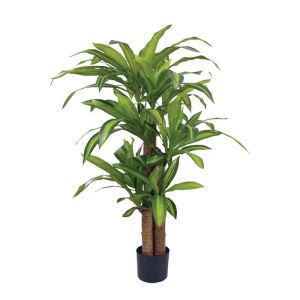 Fragrant dracaena tree in a pot with 3 stems - h130 cm 2/box (85110)