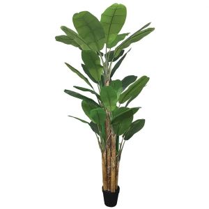 Banana tree in a pot - 300 cm, 2 pcs.