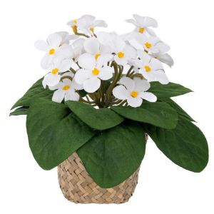 WHITE FLOWERS 17 CM IN A SEAGRASS POT 9X7 CM