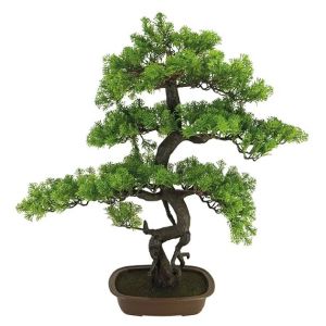Bonsai cypress tree in a pot 70x36x86 cm 2 pcs./box