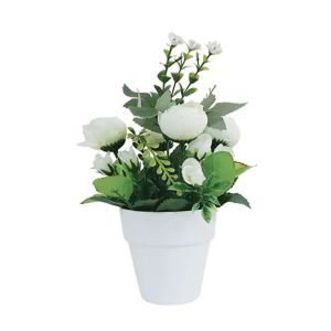White mini flower arrangement with rangelus in a pot Fl-9 - h25cm