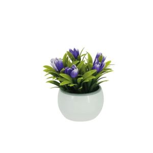 White pot with purple tulips - 8.5x8.5x13cm 1/120kib
