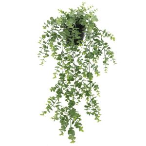 Hanging green eucalyptus bush in a pot - h67cm 12/kib