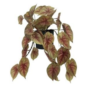 Hanging plant Sygnion green/red Real Touch in a pot - h40cm 8/kib
