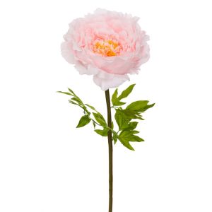 DECORATIVE GIANT STEM PEONY SALMON COLOR 48X48X130 CM