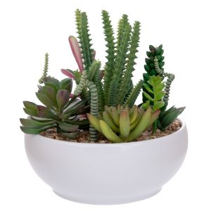 DECORATIVE SUCCULENT IN CERAMIC POT 17 CM