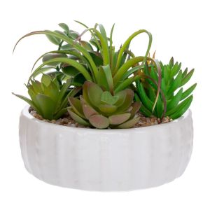DECORATIVE SUCCULENT IN CERAMIC POT 17 CM