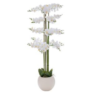 DECORATIVE WHITE ORCHID PHALAENOPSIS IN CERAMIC POT 160 CM