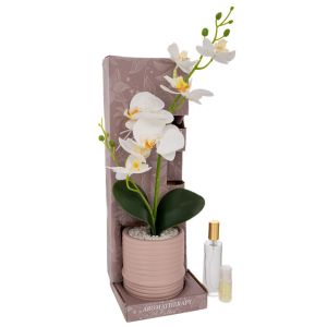 DECORATIVE WHITE ORCHID IN A POT WITH AROMA IN A GIFT BOX (SUMMER BANCHETS) 13.5X13.5X41CM