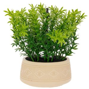DECORATIVE GREEN GRASS IN A POT WITH AROMA IN A GIFT BOX (TIBETOK EVENING AROMA JADE) 18X15X21.5 CM