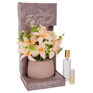 DECORATIVE PINK ORCHID IN A POT WITH AROMA IN A GIFT BOX (MY PARIS) 14X14X30CM