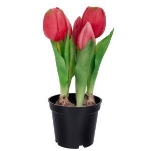DECORATIVE TULIPS FUCHSIA COLOR 20 CM X 5 IN BLACK PLASTIC POT