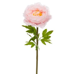 DECORATIVE GIANT STEM LIGHT PINK PEONY 38X38X115 CM