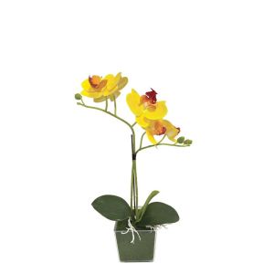 Yellow orchid Real Touch in a pot (2 branches, 5 flowers) - h30 cm 6 pcs./box