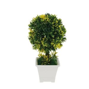 Yellow ball succulent in white pot 12x22cm 96/box