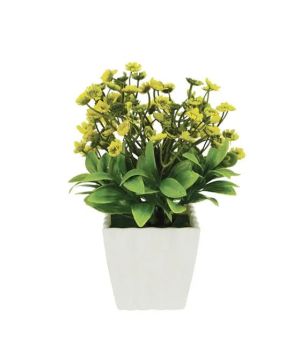 Yellow flower in a pot 8x20cm 1/120kib