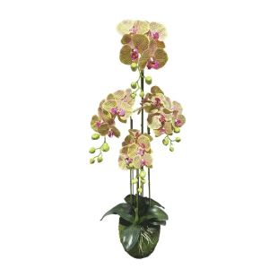 Cabbage orchid with pink striped flowers Real Touch - h98 cm 2/kib