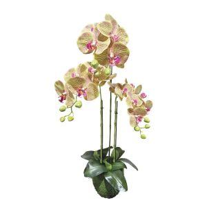 Cabbage orchid with pink striped flowers Real Touch - h82 cm 2/kib