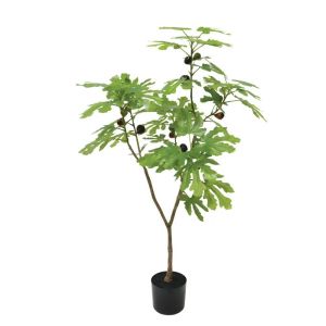 Green fig tree in a pot - h112 cm 4/kib