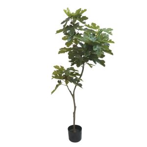 Green fig tree in a pot - h195 cm 2/kib