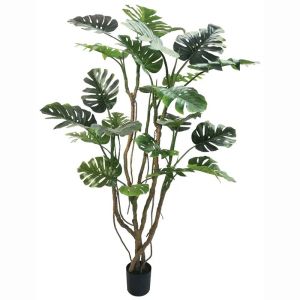 Green tree for potted plant - high yield 200 cm 2/kib