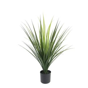 Green yucca tree in a pot - h70cm 6/kib