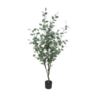 Green eucalyptus tree in a pot - h150cm 1/4κib