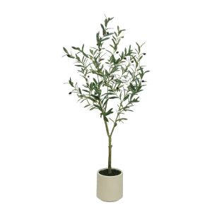 Green olive tree in a pot - h150 cm 1/kib