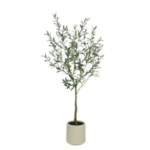 Green olive tree in a pot - h180 cm 1/kib