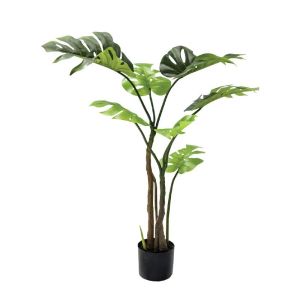 Green monstera tree in a pot - h105 cm 4/kib