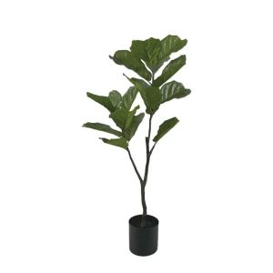 Green fruit tree in a pot - h105 cm 4/kib