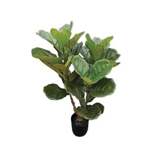 Green fruit tree in a pot - h90 cm 2/kib