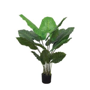 Real tree in a pot - h110 cm 6/kib