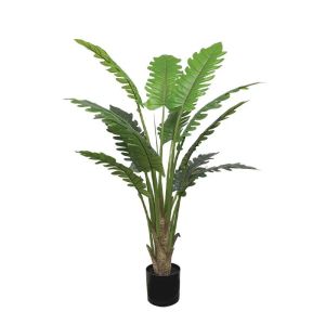 Real tree in a pot - h150 cm 2/kib