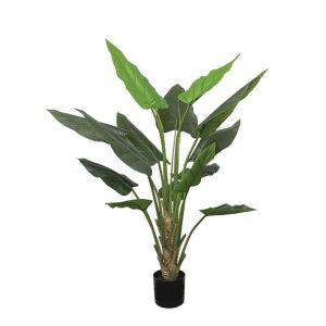 Real tree in a pot - h150 cm 2/kib