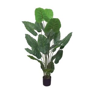 Real tree in a pot - h170 cm 2/kib