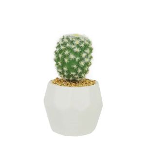 Cactus - blueberry in a pot 9.5x20cm 1/48kib