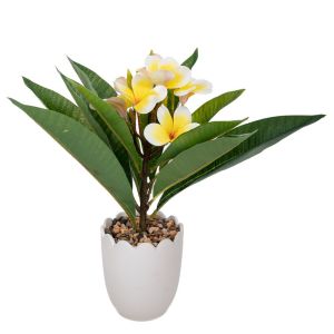 CERAMIC FLOWER POT WITH LEMON TREE 10X12X40CM