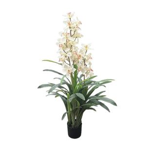Orchid cream in a pot - 150 cm 2/kib
