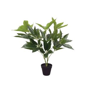 Lucky tree in a pot - h60cm 6/kib