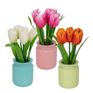 TULIP 21 CM IN A POT WITH GRASS 7X9 CM