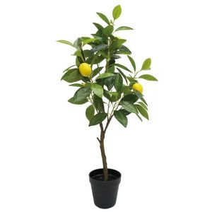 Small lemon tree in a pot - h72 cm 4 pieces/box